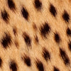 Cheetah Printara Animal Print Small Cheetah Vinyl Wrap