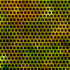 Salamander Printara Diverse Salamander Vinyl Wrap