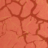 Elite Orange Printara Grated Cracked Elite Orange Vinyl Wrap
