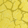 Elite Yellow Printara Grated Cracked Elite Yellow Vinyl Wrap