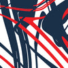 America Printara Liquid Smoke America Vinyl Wrap