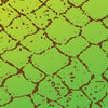 Anole Printara Scale Anole Vinyl Wrap