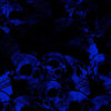 Blue Printara Skull Blue Vinyl Wrap