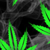Up in smoke large Printara Up In Smoke Large Vinyl Wrap