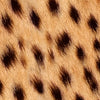 Printara Animal Print Small Cheetah Vinyl Wrap